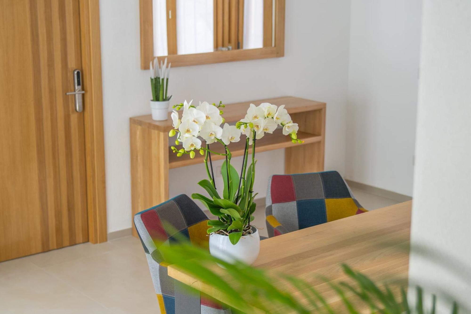 Nuova -luxury & Apartment- *