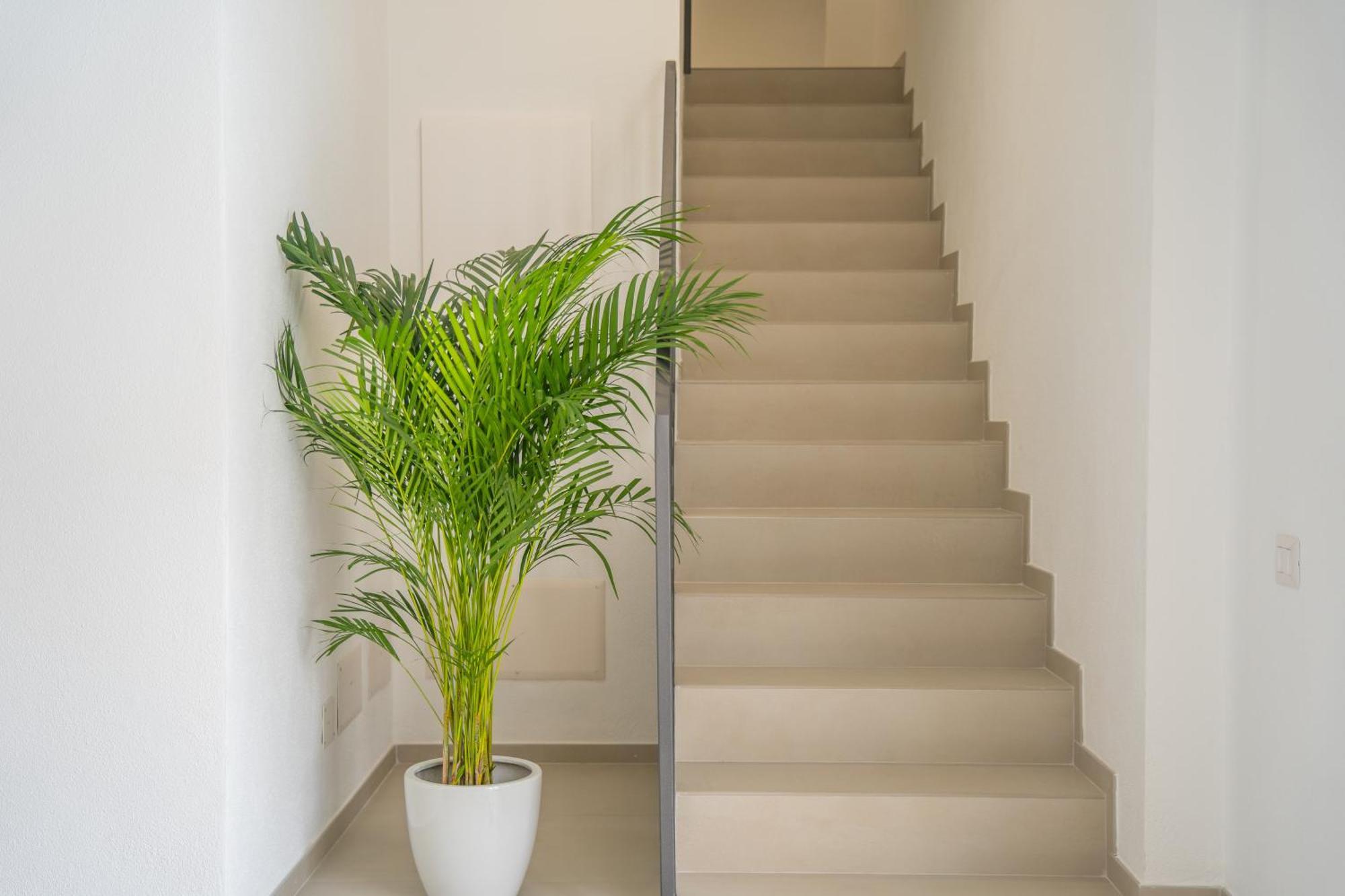 Nuova -luxury & Apartment- Olbia